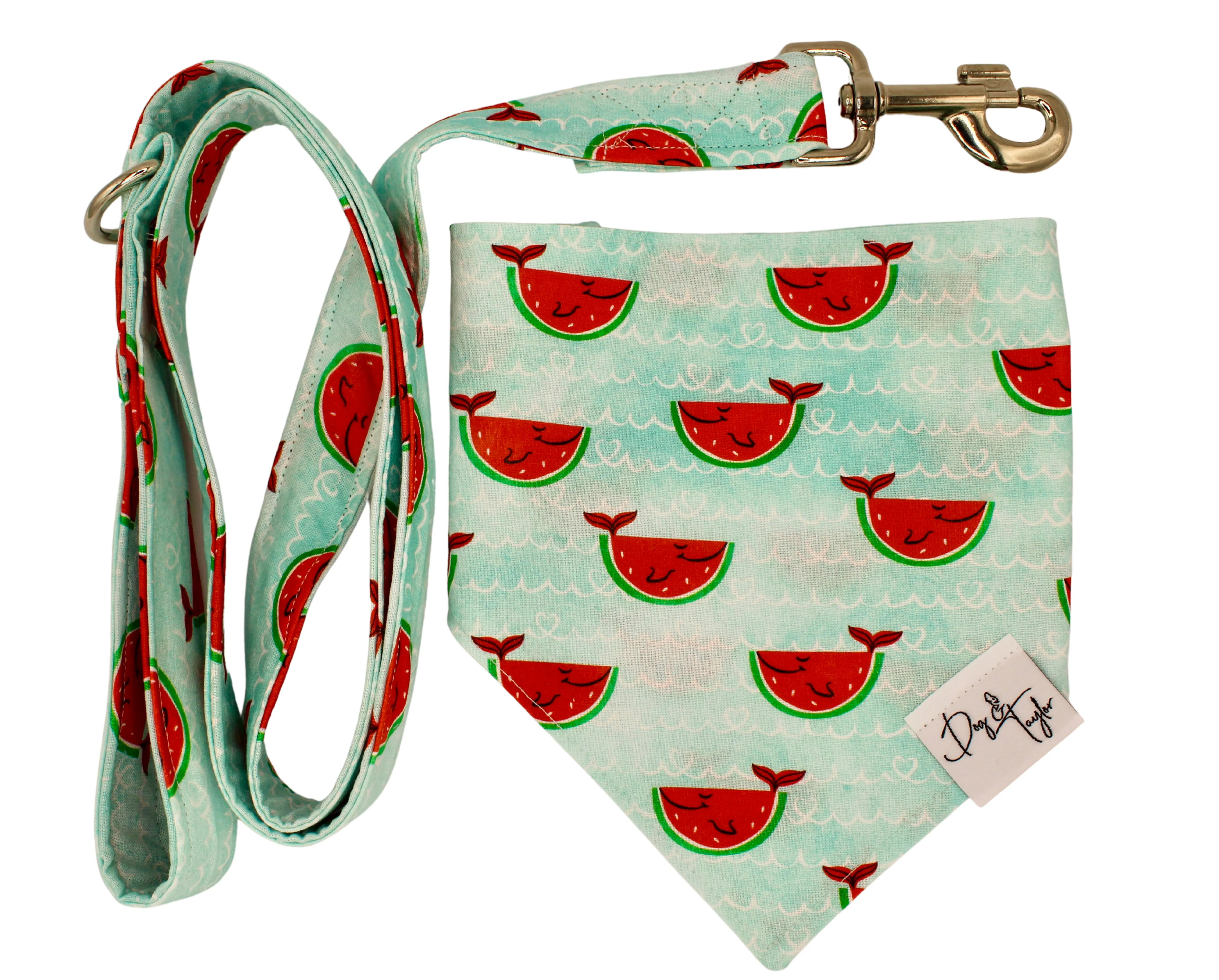 Happy Watermelon Fish Bandana   Leash