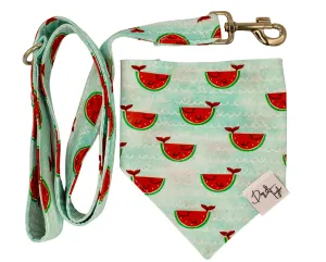 Happy Watermelon Fish Bandana   Leash