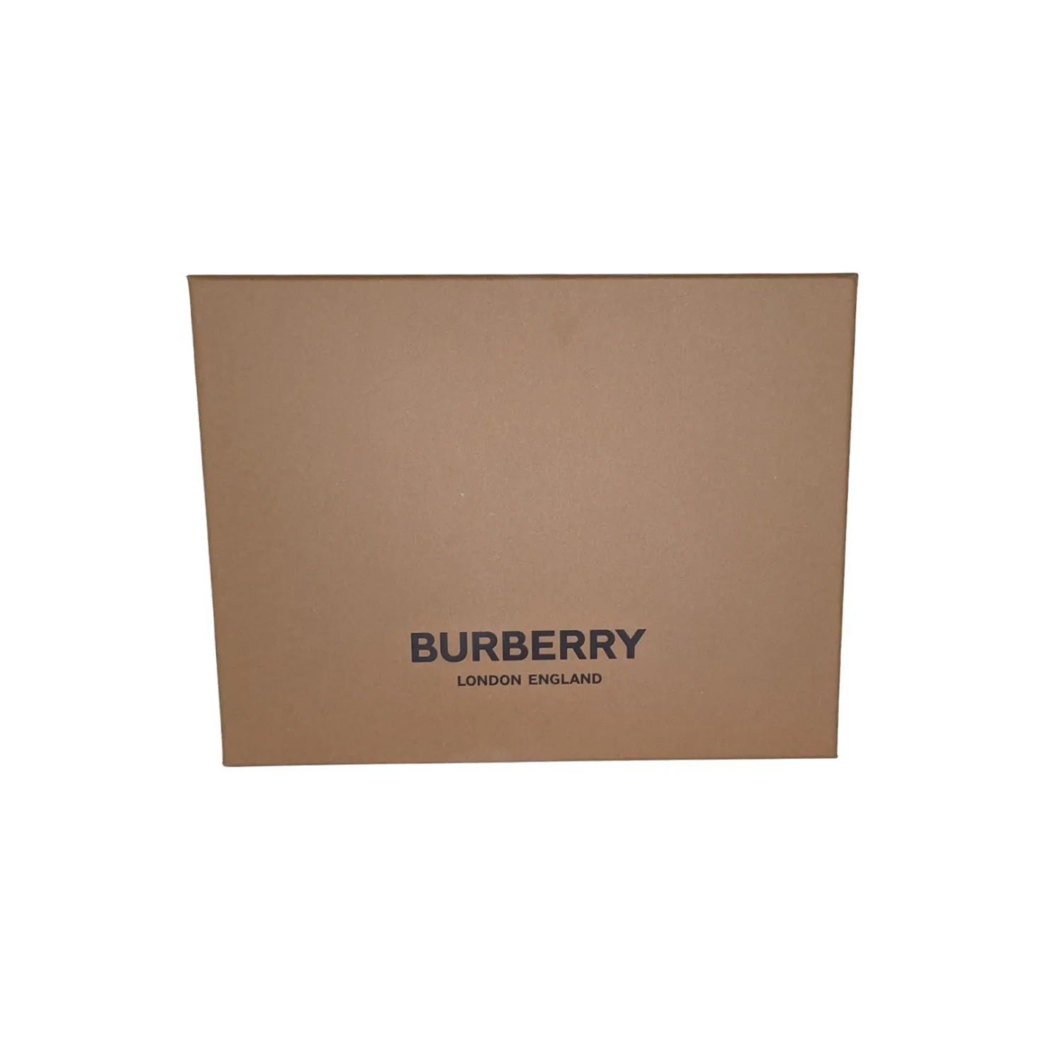 Trendy Inspired Burberry Lola Small Quilted Sequin Chain Shoulder Bag